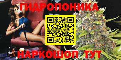 круглые Тара