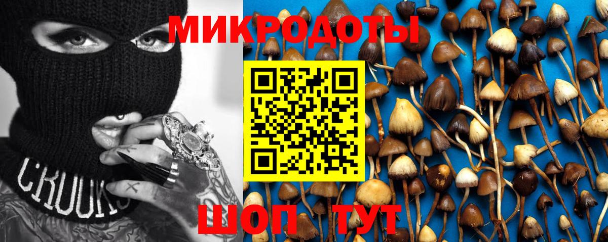 Галлюциногенные грибы прущие грибы  Вход с VPN  Ногинск 